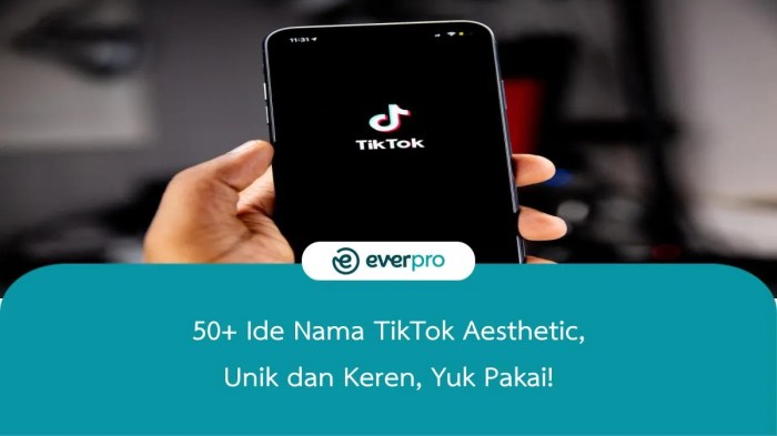 Nama Buat Tik Tok Estetik