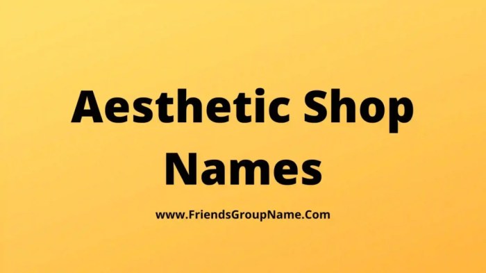 Nama Olshop Aesthetic Dan Artinya