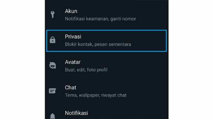 Cara Membuat Bio WA Kosong Panduan Lengkap