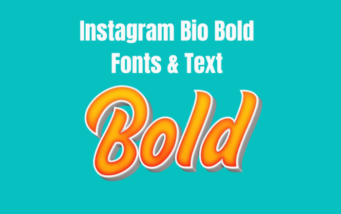 Cara Buat Tulisan Bold Di Bio Ig