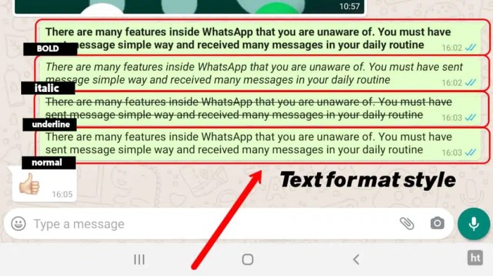 Whatsapp make text