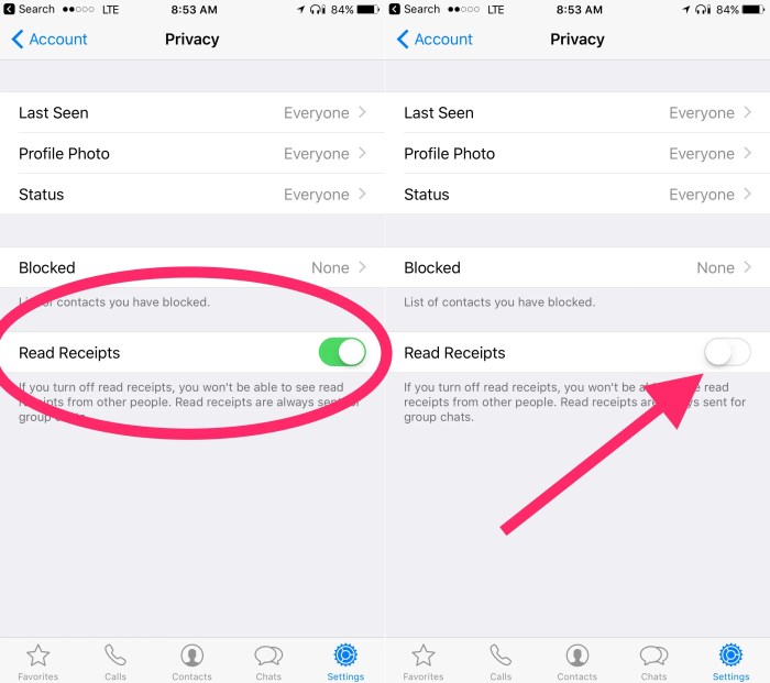 Whatsapp read receipts turn off candid technology tick given instructions known follow below also blue
