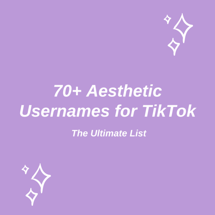 Rekomendasi Nama Akun Tiktok Aesthetic