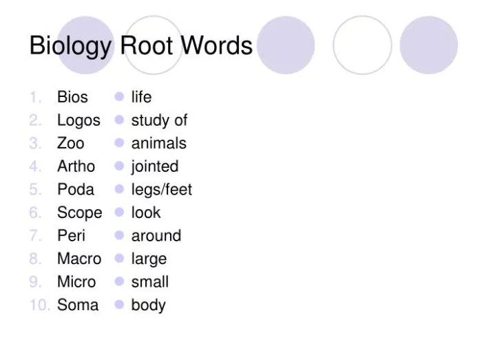 Kata Kata Bahasa Inggris Untuk Biografi Online