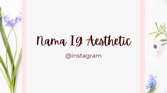 Apa Nama Yang Bagus Untuk Ig Aesthetic?