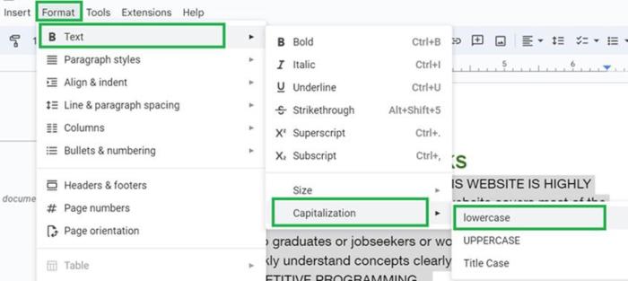 Cara Mengubah Typing Menjadi Huruf Kecil