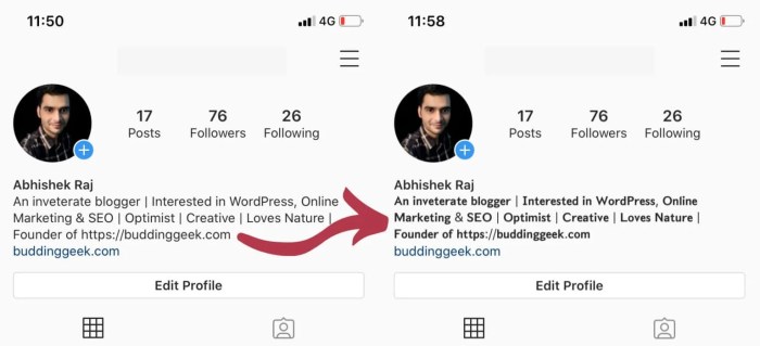 Cara Buat Tulisan Bold Di Bio Ig