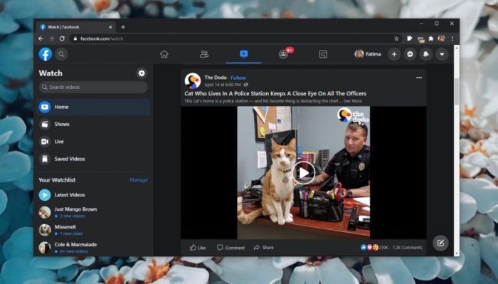 Kenapa Video Di Watch Facebook Tidak Bisa Dibuka