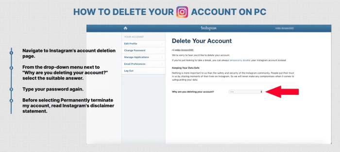 Instagram account delete permanently