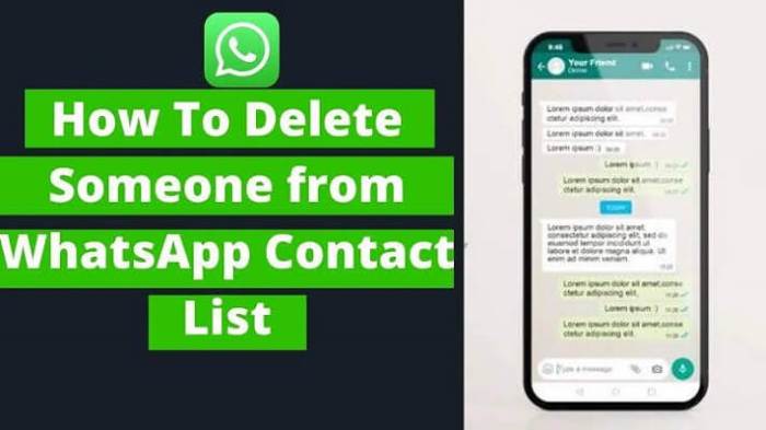 Cara Hapus Kontak Whatsapp Yang Tidak Bisa Dihapus