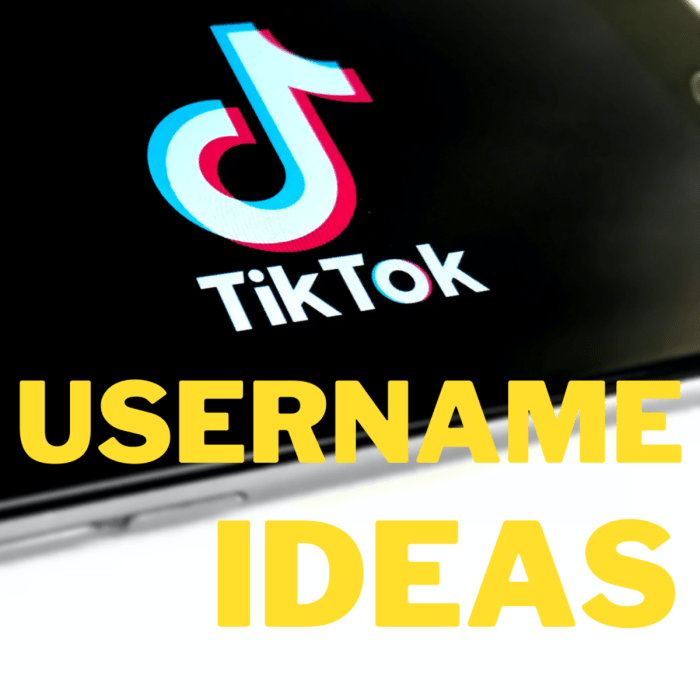 Cara Membuat Nama Di Tiktok Keren