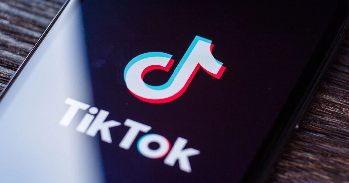 Mode Gelap Tiktok Tidak Muncul